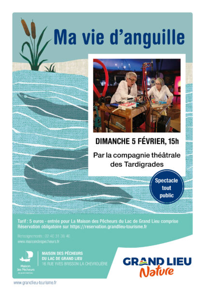 Ma vie d'anguille-affiche